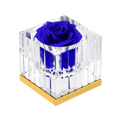 كريستال بلس بوكس