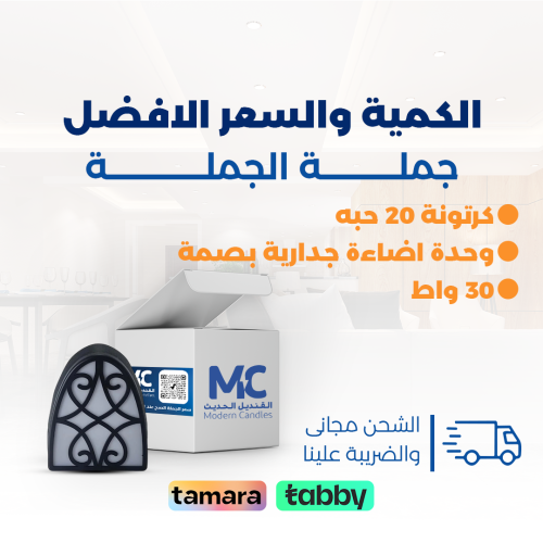 وحدة اضاءة جدارية بصمة 30 واط