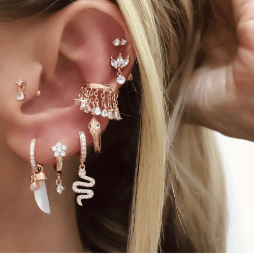 حلق قرن الفيل صدف