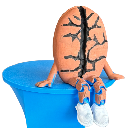 مجسم حبة بن ملونة رقم 2