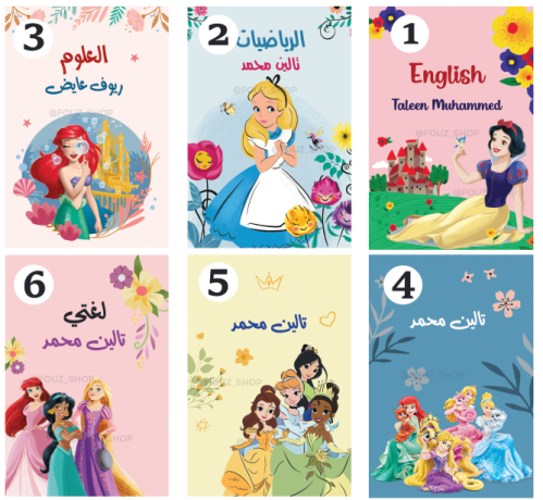 Disney Princess notebook