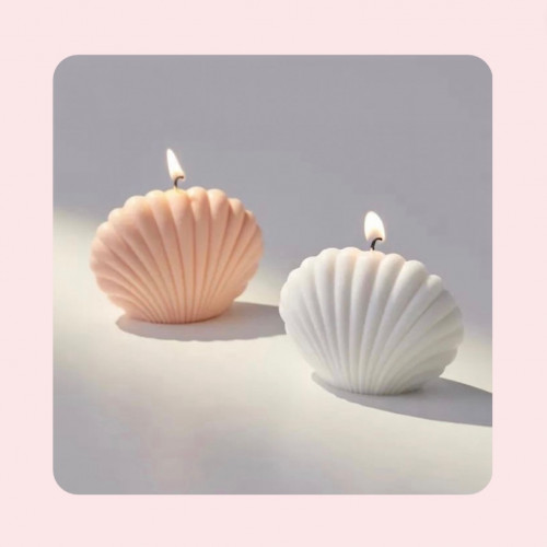 Seashell mini