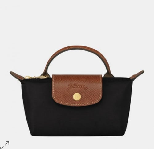 Long Champ Mini size