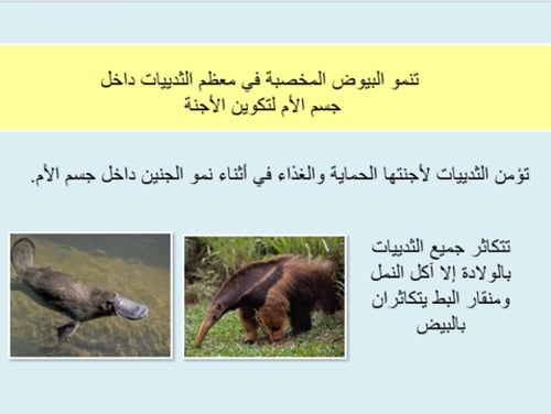 درس نوذجي" دورات الحياة" (علوم خامس الترم الاول)