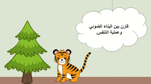 درس نموذجي "الخلية الحيوانية والحلية النباتية" - ص...