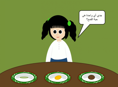 تمهيد حبة القمح