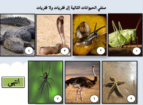 درس نموذجي "تصنيف الكائنات الحية" علوم صف خامس الت...