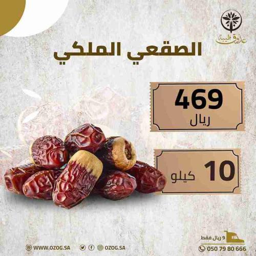 صقعي ملكي 10 كيلو