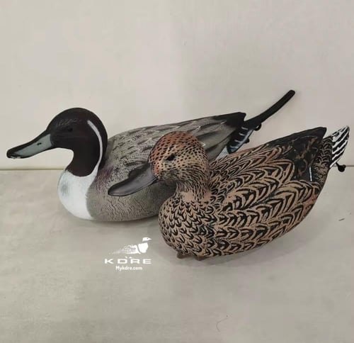 مجسمات بلبول EVA ذكر-انثى