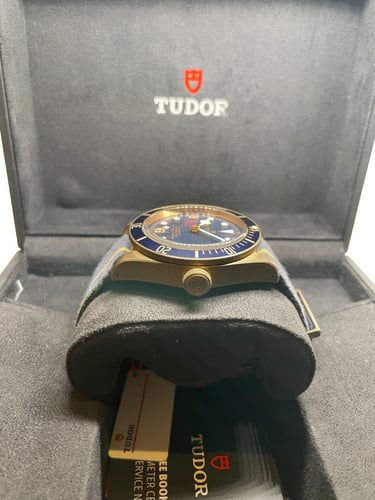 ساعة تيدور برونز بوشرير