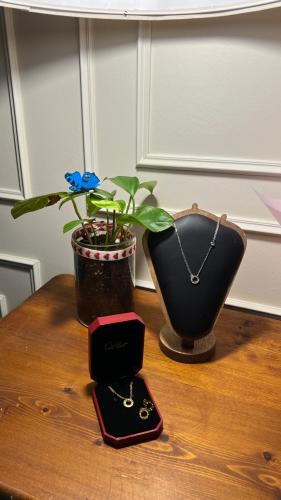 سلسال الترابط cartier
