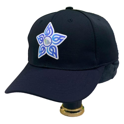 كاب التجمعات الصحية