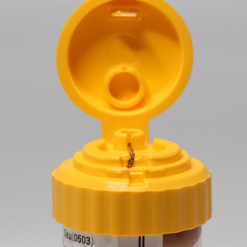 Retraction Cord