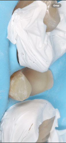 كاميرا نيكون D3100 نظيفة مع عدسة ماكرو + اضاءة