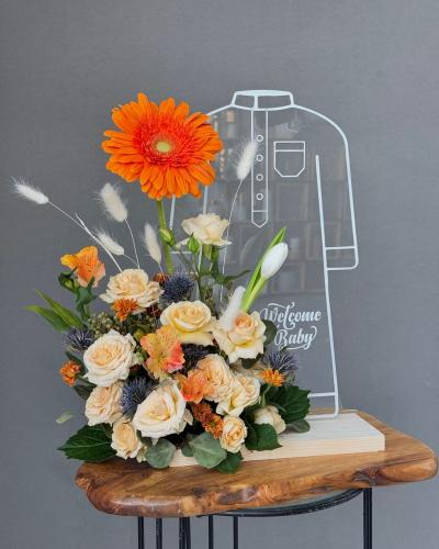 هدية مولولد