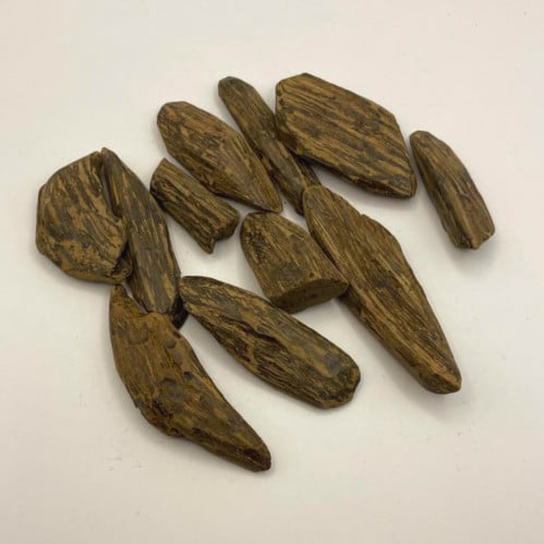 الكلمنتان الأشهب (الضيوف) (محسن)