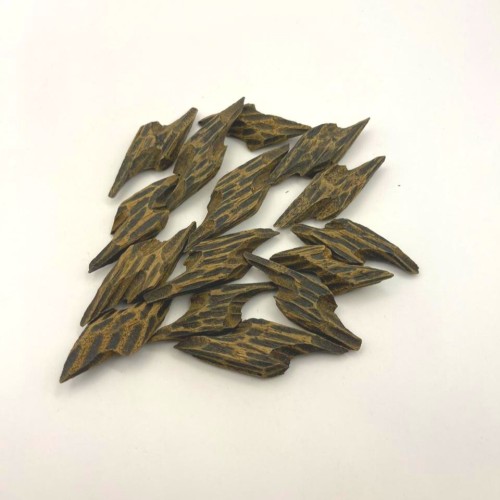 عود كمبودي (التايقر)