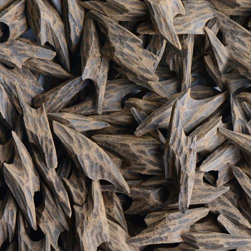 عود تايقر فيتنامي (الأوقية )