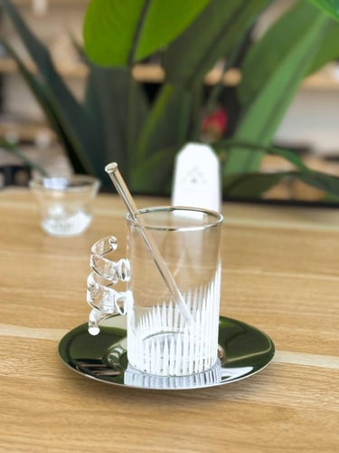 طقم قهوة وشاهي 24 قطعة بمسكة مميزة وبلون فضي