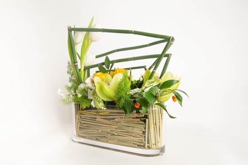 مزهرية انا بجانبك