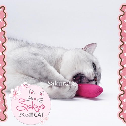 لعبة محشوة كاتنيب