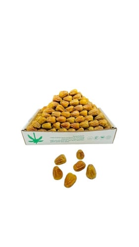 سكري مفتل ملكي فاخر