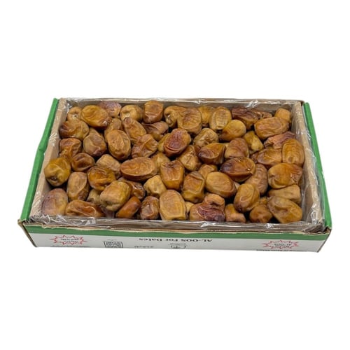 نبته علي بانوراما