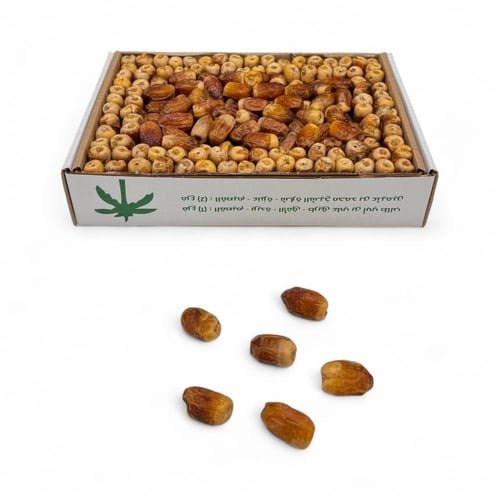 صقعي رطب رقم واحد