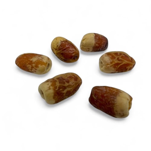 صقعي فاخر حبه كبيرة ومتوسطة ( 5 ونص)