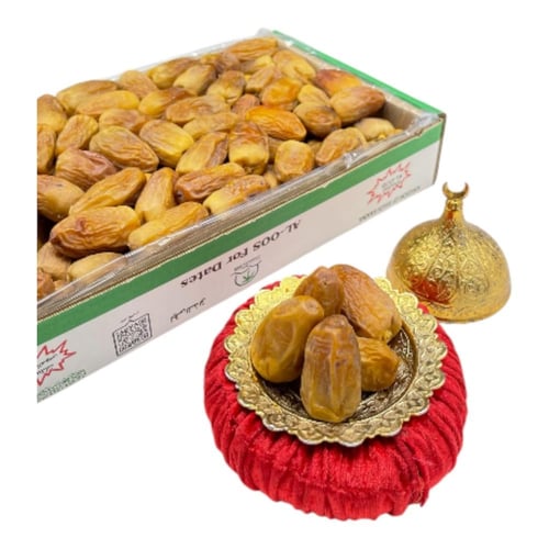 رشودية بانوراما