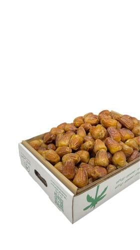 جلكسي جامبو فاخر 4.50 كيلو