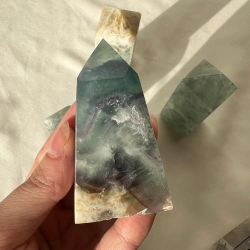 برج رينو فلورايت