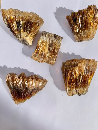 عنبر كالسيت