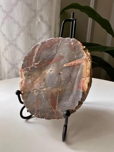 بلورة الخشب المتحجر كبير