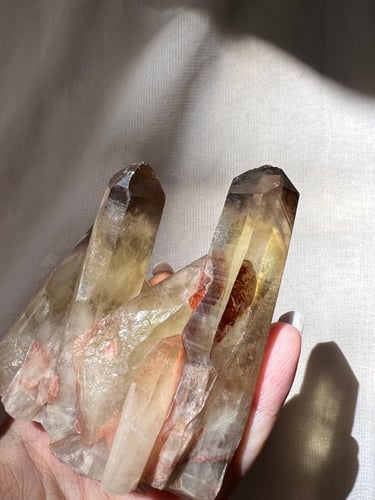 سترين عنقودي