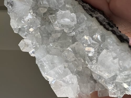 ابوفيليت الماسي عالي الجودة كبير