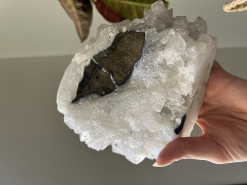 ابوفيليت الماسي عالي الجودة كبير جدا