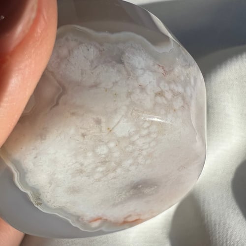 صحن زهرة العقيق