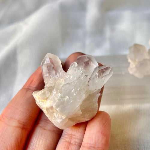 كلير كوارتز | mini