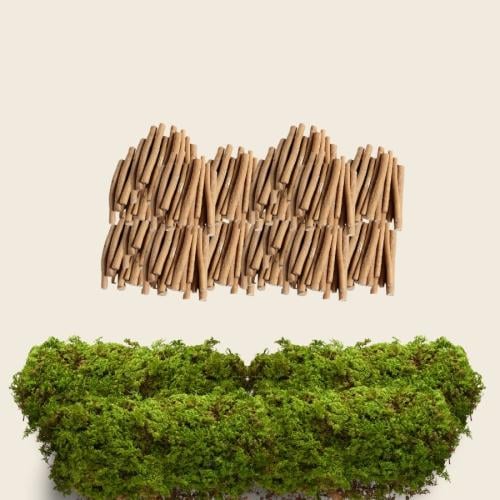 50 مسواك قصير