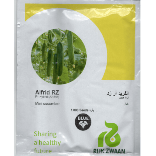 بذور خيار الفريد F1 هجين