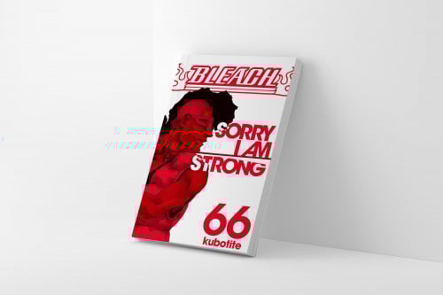 بليتش مجلد 66