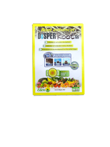 ديسبر رووت جي اس (500جرام)