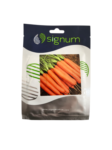 جزر نانتس (10جرام)