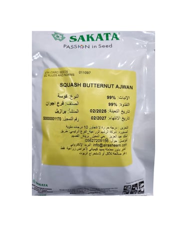 قرع اجوان 1000 بذرة