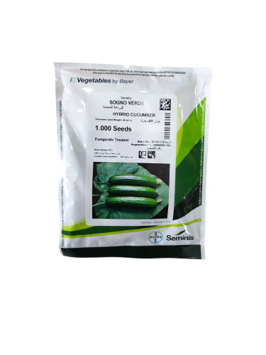 خيار سونو فيردي هجين (1000 بذرة)