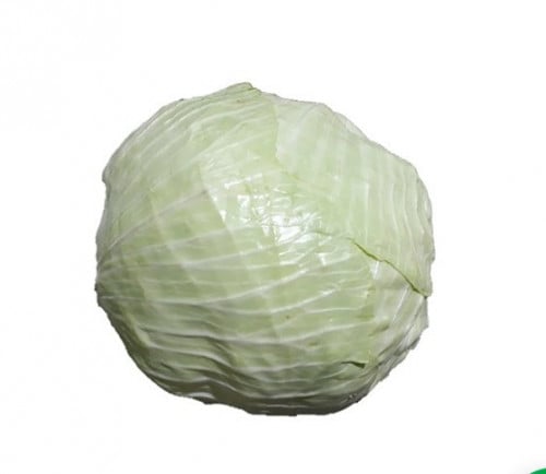 ملفوف أخضر طازج