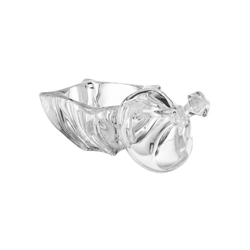 تمرية زجاج محجر