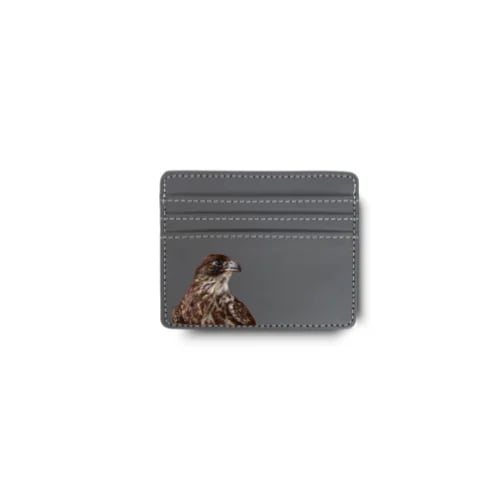 Falcon Wallet 1