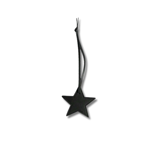 Star medal